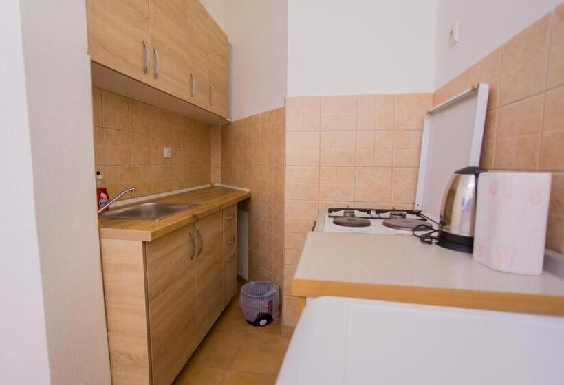 استودیوی استاندارد, Apartment Flower