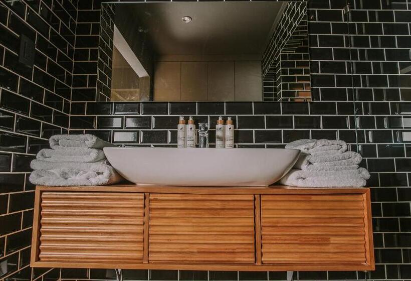 Номер Стандарт, Vívelo Elqui Landscape