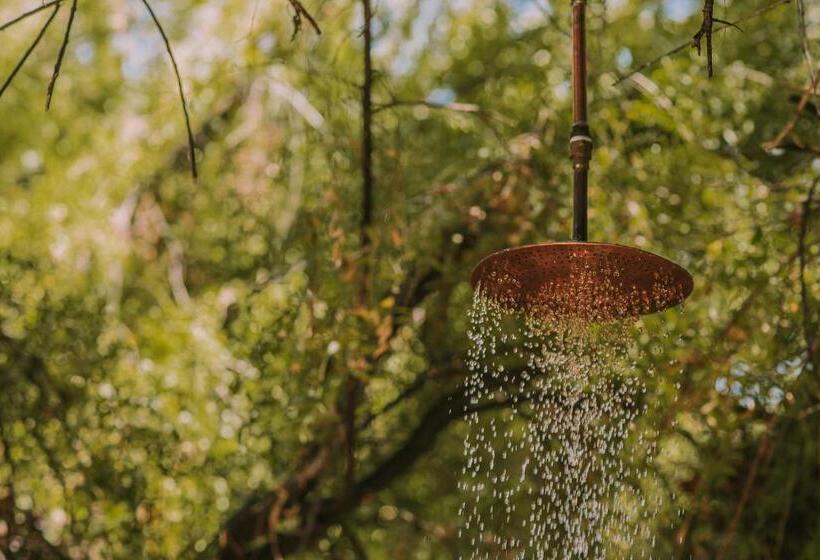 Номер Deluxe, Vívelo Elqui Landscape