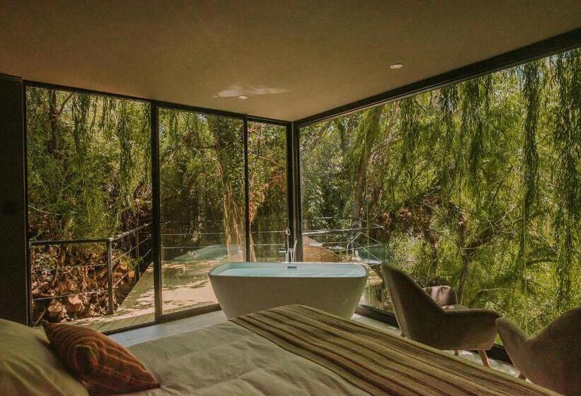 Номер Deluxe, Vívelo Elqui Landscape