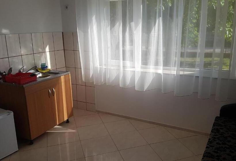 דירת חדר פרמיום, Casa Rustica Apart & Rooms