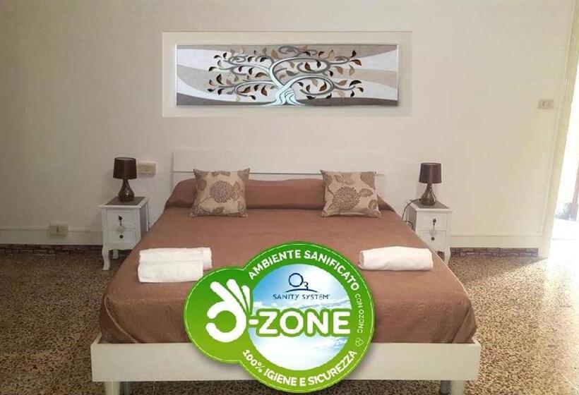 スタンダードルーム, Dai Nonni