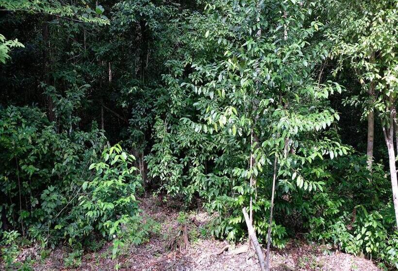 ガーデンビューの1ベッドルームビラ, Maratua Guesthouse