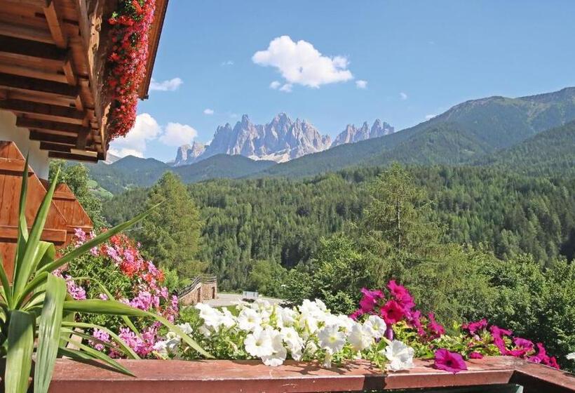 Номер Стандарт, Veltierhof