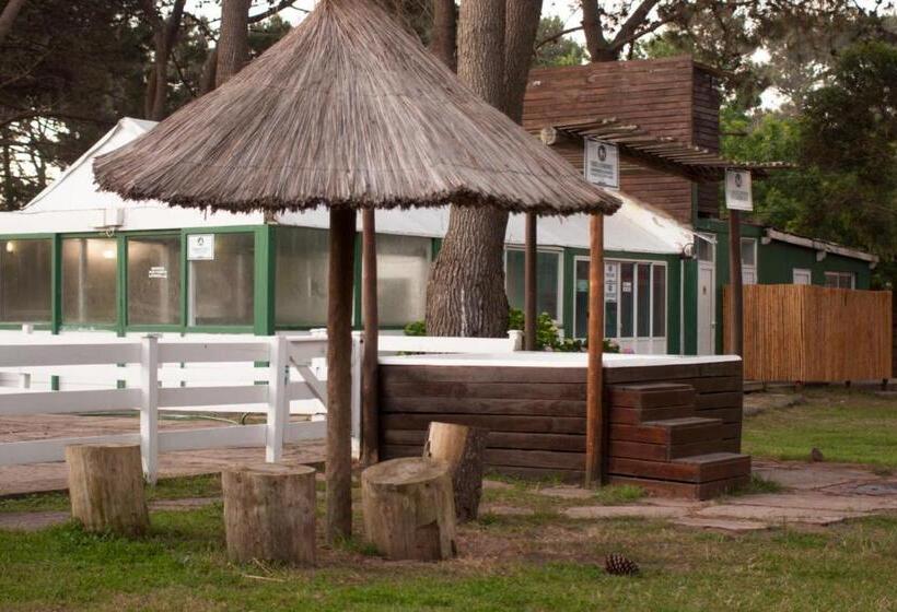 复式房间, Valeria Green