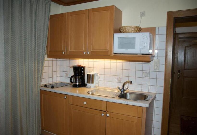 Апартаменты Комфорт 1 Спальня, Alpinschlössl