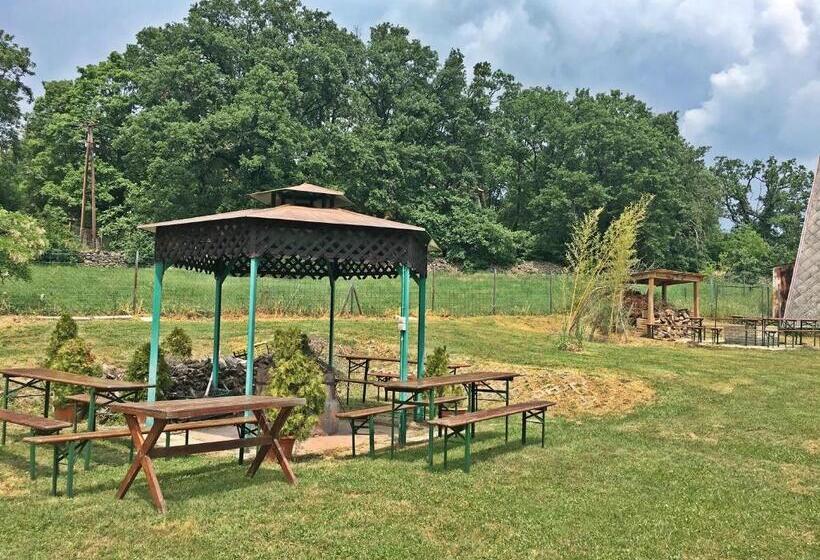 غرفة قياسية, Magnólia