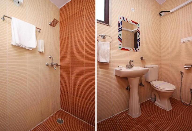 غرفة ديلوكس, Roshan Haveli