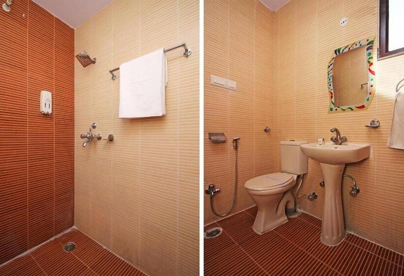 Номер Deluxe, Roshan Haveli