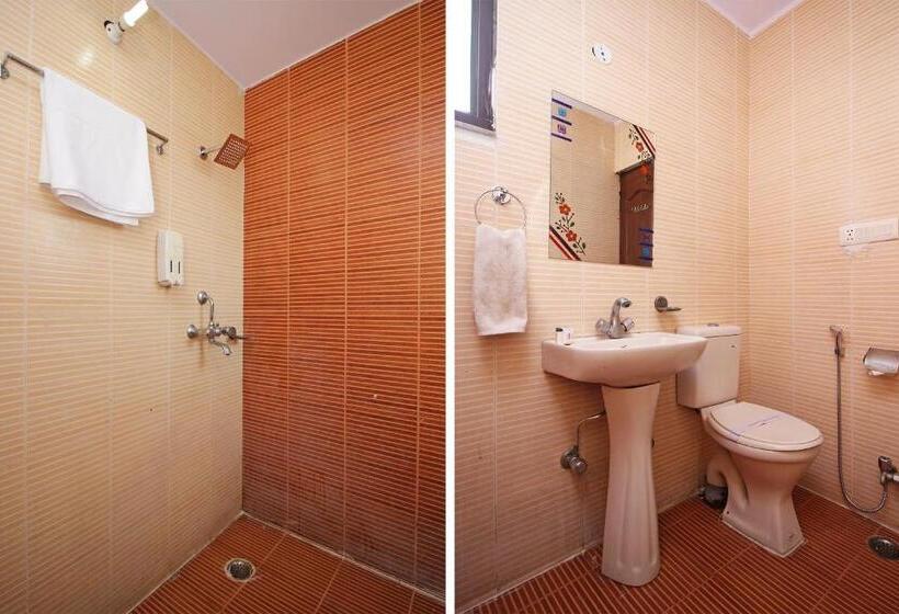 غرفة ديلوكس, Roshan Haveli