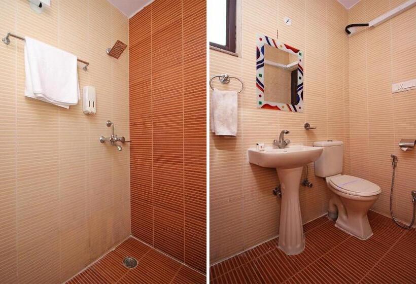 Номер Deluxe, Roshan Haveli