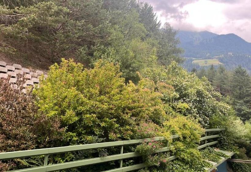 四人标准间, Saxl