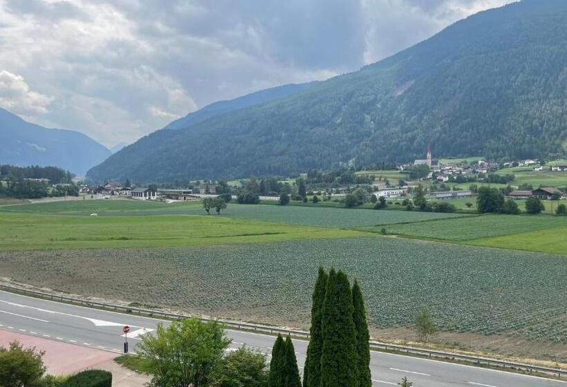 标准单人间, Saxl