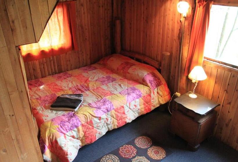 اتاق استاندارد, La Casa Del Viajero Hostel