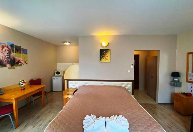 スタンダードルーム, хотел свищов спа зона