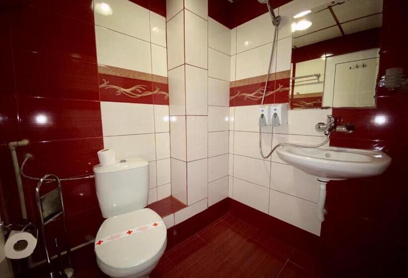 スタンダードシングルルーム, хотел свищов спа зона