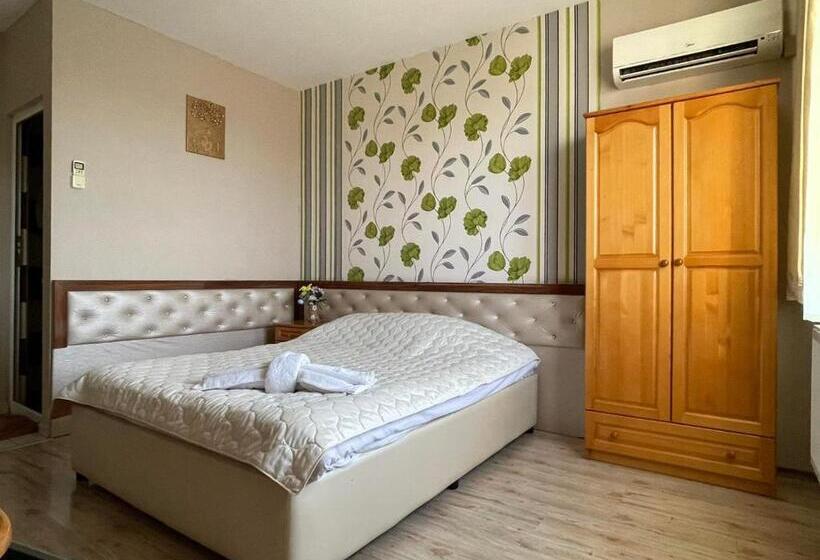 スタンダードシングルルーム, хотел свищов спа зона