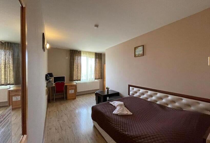 スタンダードシングルルーム, хотел свищов спа зона