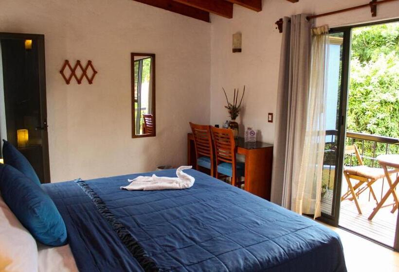 テラス付きスタンダードワンルーム, Posada El Canto Del Cenzontle