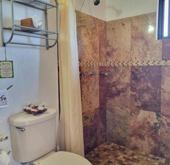 Standard Studio Kingsize Seng, Posada El Canto Del Cenzontle