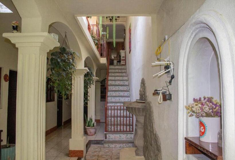 اتاق استاندارد با سرویس بهداشتی مشترک, Jireh Antigua