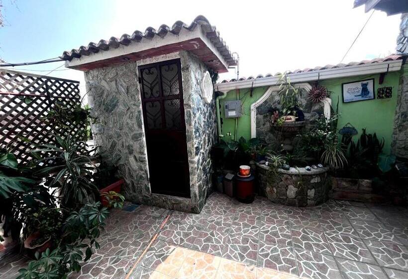 اتاق استاندارد سه نفره, Jireh Antigua