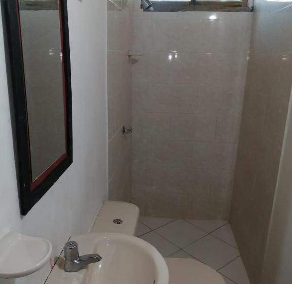 스탠다드 룸, Paula C