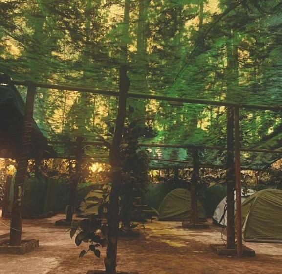 Standard Tent, Coffeebean Villa   Unwind & Rejuvenate