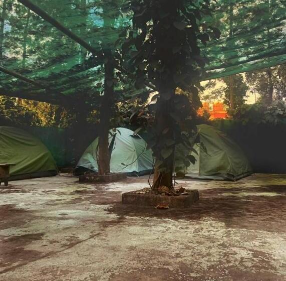 Standard Tent, Coffeebean Villa   Unwind & Rejuvenate