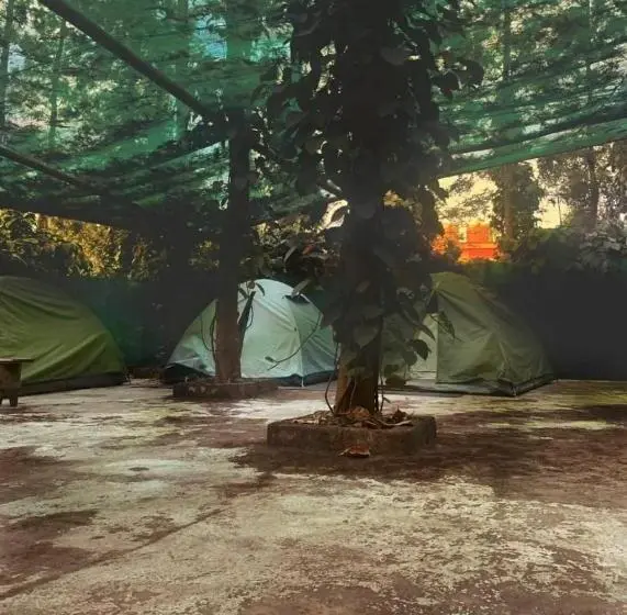 Standard Tent, Coffeebean Villa   Unwind & Rejuvenate