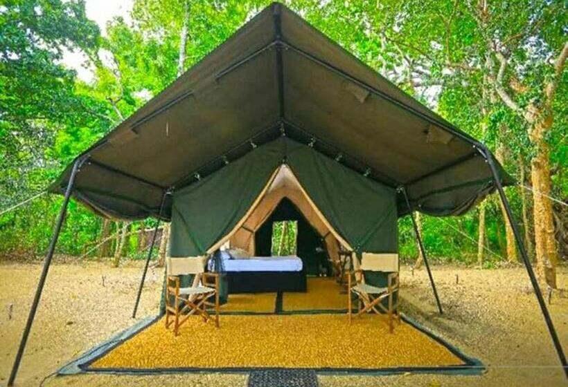 Standard Tent, Coffeebean Villa   Unwind & Rejuvenate
