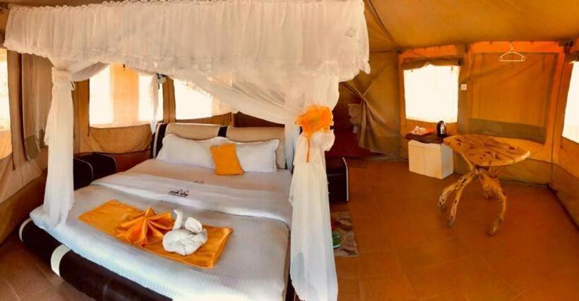 اتاق سوپریور یک تخته, Explore Serengeti Tented Camp