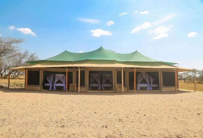 اتاق لوکس سه تخته, Explore Serengeti Tented Camp