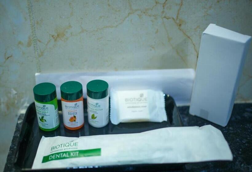 Chambre Standard, Hari Vilaas Enclave