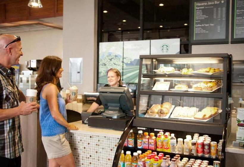 اتاق لوکس, Landmark Resort Updated Double Suite