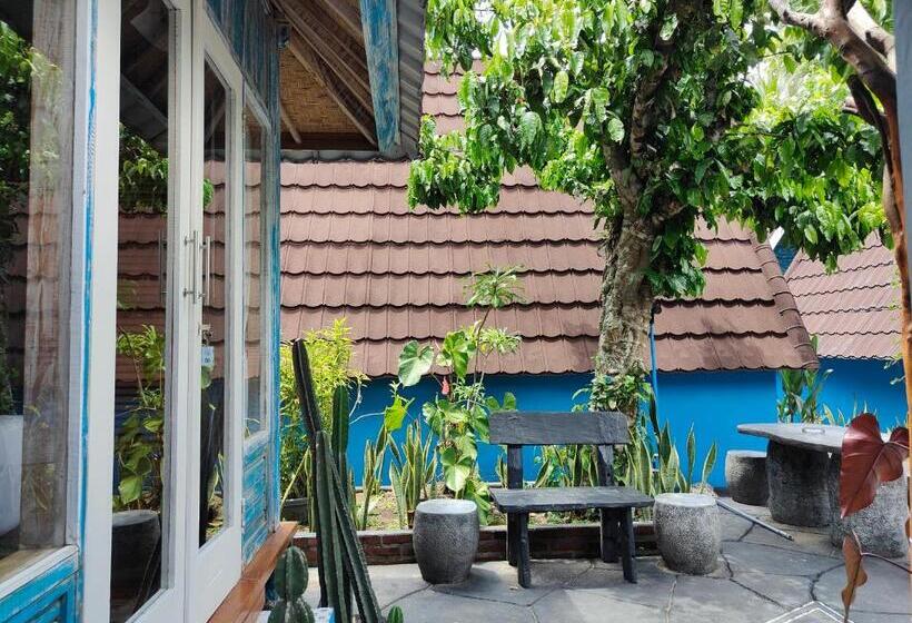 Номер Стандарт, Byron Jungle Resort