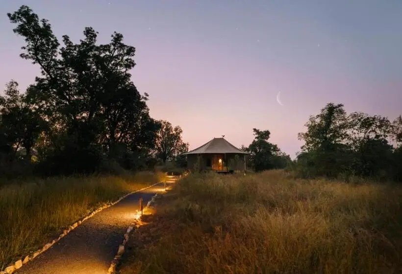 Standard-huone Allasnäkymä, Trees N Tigers, Tadoba