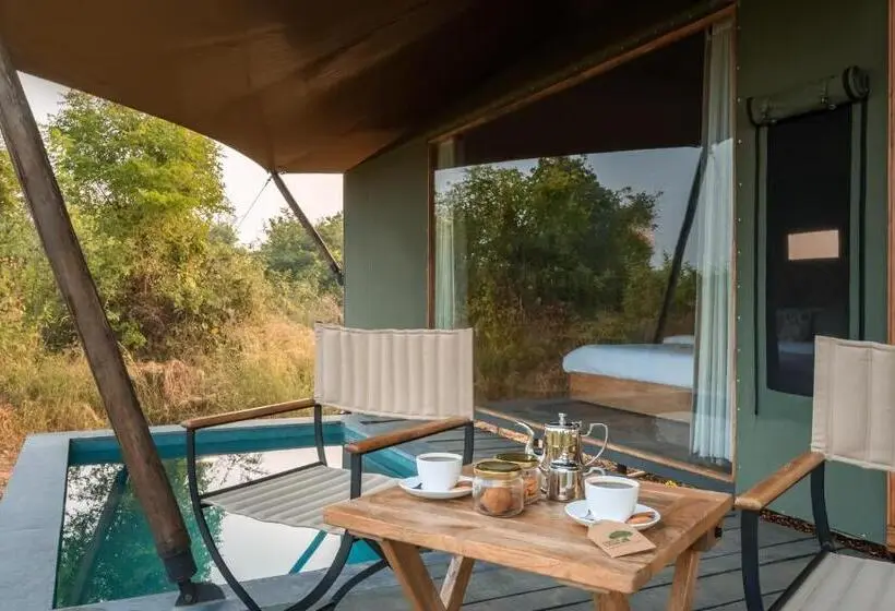 Standard-huone Allasnäkymä, Trees N Tigers, Tadoba