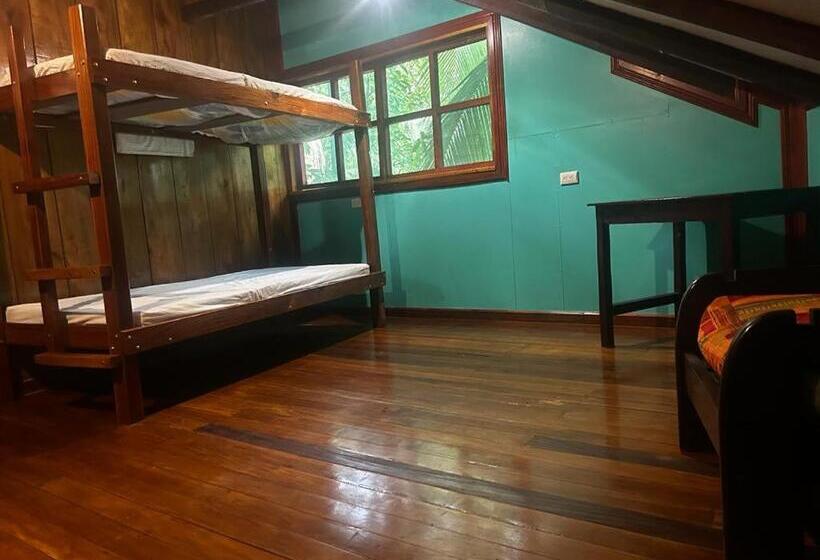 スタンダードトリプルルーム, The Monkey Trail Hostel