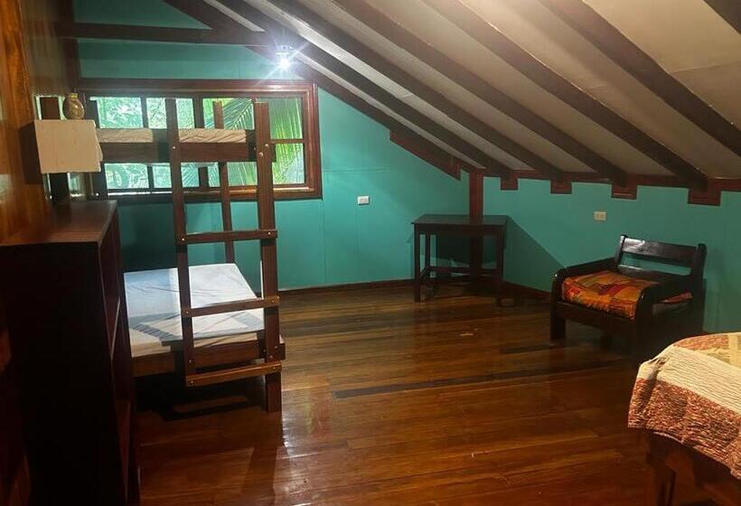 스탠다드 트리플 룸, The Monkey Trail Hostel