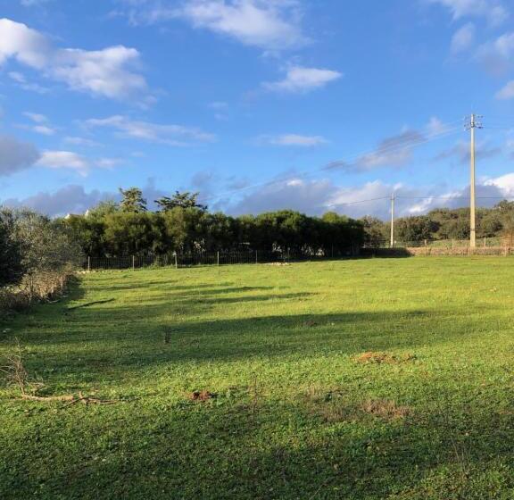اتاق استاندارد, The Red Door