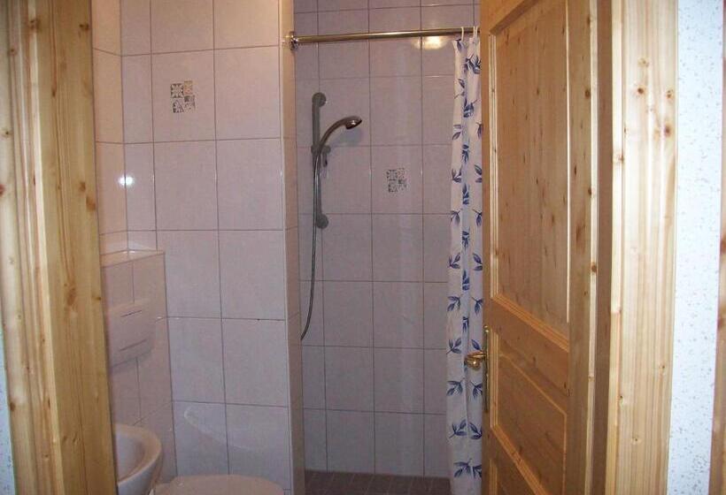 Апартаменты 1 Спальня с Балконом, Bauernhofpension Büchsenschütz