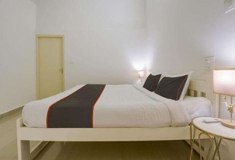 غرفة كلاسيكية ثلاثية, Collection O Olive Turtle