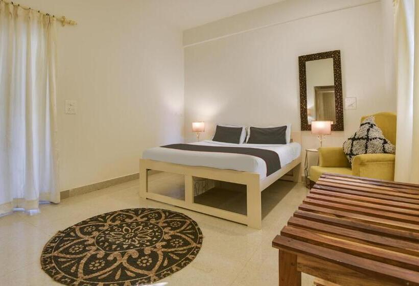 غرفة كلاسيكية ثلاثية, Collection O Olive Turtle