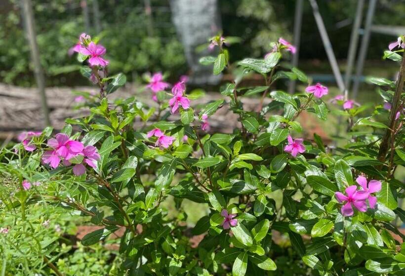 ビラホテル１ベッドルーム, The Willow Phangan