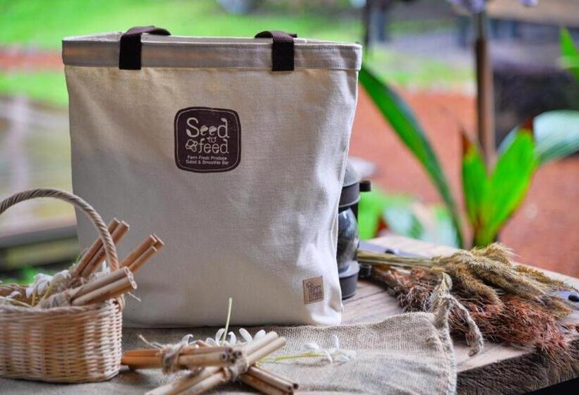 Вилла 1 Спальня, The Willow Phangan