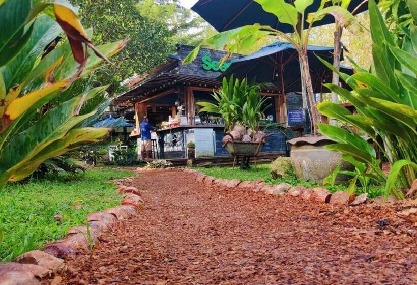 Вилла 1 Спальня, The Willow Phangan