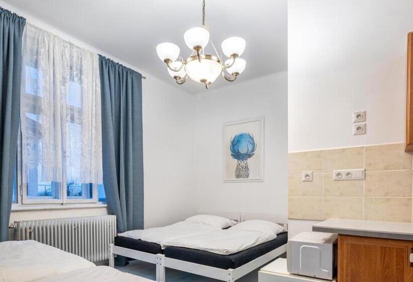 Апартаменты 1 Спальня, Vila Opočno