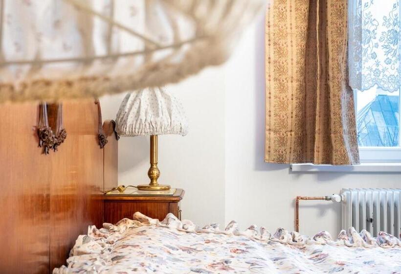 Номер Deluxe, Vila Opočno