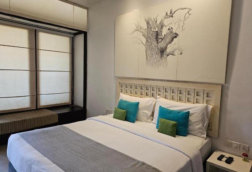 标准间, Blue Breeze